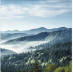 Pure Living Tablou sticlă Pure Living View Over The Forest 30x30 cm (GLA2857A)