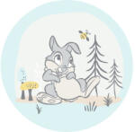 Komar Fototapet rotund autoadeziv Komar DD1-044 Disney Bambi Thumper Ø 125 cm (DD1-044)