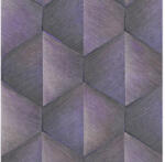 Erismann Tapet vlies Erismann 10370-45 GMK Fashion for Walls 4 model geometric 3D mov 10, 05x0, 53 m (10370-45)
