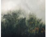 Komar Fototapet vlies Komar PSH036-VD3 Tales of the Carpathians 300x250 cm (PSH036-VD3)