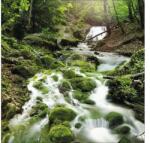 Pure Living Tablou sticlă Pure Living Mystic Ways 20x20 cm (GLA985D)