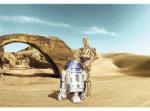 Komar Fototapet hârtie Komar 8-484 Disney Edition 4 Star Wars Lost Droids 368x254 cm (8-484)
