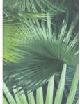 Rasch Tapet vlies Rasch Crispy Paper frunze de palmier, verde 10, 05x0, 53 m (524901)