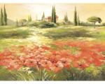 Pure Living Tablou canvas Pure Living Poppy Field 57x77 cm (OK332F5)
