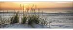 Pure Living Tablou sticlă Pure Living Lonely Dune 50x125 cm (GLA1304O)