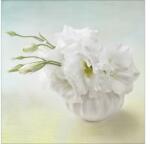 Pure Living Tablou sticlă Pure Living Sweet Peony I 30x30 cm (GLA939A)