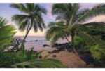 Komar Fototapet vlies Komar SHX9-116 Hawaiian Dreams 450x280 cm (SHX9-116)