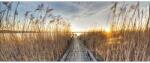 Pure Living Tablou sticlă Pure Living Way To The Sun 30x80 cm (GLA1815C)