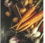 Pure Living Tablou sticlă Pure Living Carrots I 20x20 cm (GLA1794D)