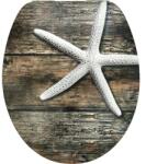 form&style Capac WC cu model form&style SCULPTURE SEASTAR MDF închidere lentă maro 46, 2x36, 5 cm (6980 031 09)