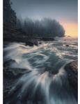 Komar Fototapet vlies Komar SHX4-129 Cry of the Sea 200x280 cm (SHX4-129)