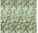 Komar Fototapet vlies Komar HX6-003 Botanique Vert 300x280 cm (HX6-003)