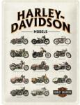 Nostalgic-Art Tablou metalic decorativ Nostalgic-Art Harley Models 30x40 cm (23233)