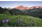 Komar Fototapet vlies Komar SHX9-069 Picturesque Switzerland 450x280 cm (SHX9-069)
