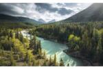 Komar Fototapet vlies Komar SHX9-095 Wild Canada 450x280 cm (SHX9-095)