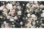 Komar Fototapet vlies Komar 6035A-VD4 Victoria Black 400x250 cm (6035A-VD4)