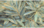 Komar Fototapet vlies Komar PSH111-VD4 Amazonia Vibes 400x250 cm (PSH111-VD4)