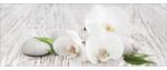 Pure Living Tablou sticlă Pure Living White Spring IV 30x80 cm (GLA1064C)