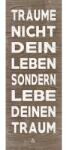 Pure Living Tablou sticlă Pure Living Visuri 30x80 cm (GLA1843C)