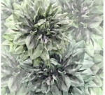Komar Fototapet vlies Komar INX6-036 Emerald Flowers 300x280 cm (INX6-036)