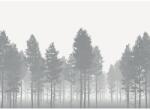 Komar Fototapet vlies Komar X7-1021 Nebula 350x250 cm (X7-1021)