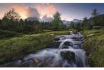 Komar Fototapet vlies Komar SHX9-096 Wild Paradise 450x280 cm (SHX9-096)