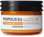 Some By Mi SOMEBYMI Propolisz B5 Ragyogó Barriernyugtató Krém