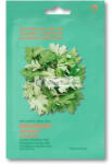 Holika Holika Pure Essence Mugwort Maszk Lap