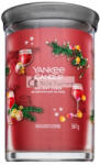 Yankee Candle Tumbler Holiday Cheer 567 g