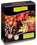  Műtrágya FLORIMO eper bogyós gyümölcs 1kg (flom4410)