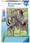 Ravensburger 300 db-os XXL puzzle - Zebrák (12948) (12948)