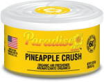Paradise Air Organic Air Freshener Légfrissítő - Ananász illat, 42 g (ORG-043)