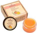 Sattva Ayurveda Mangós ajakbalzsam 5g - Sattva Ayurveda