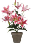 Mica Plantă artificială Crin Tiger MICA H 47 cm fuchsia (1079766)