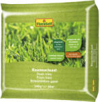 FloraSelf Semințe gazon reînsămânțare FloraSelf 240 g 10 m2 (448672)