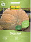 FloraSelf Semințe legume FloraSelf dovleac gigant Atlantic (21880)