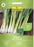 FloraSelf Semințe legume FloraSelf ceapă verde Kaigaro (24130)