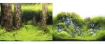 ORBIT Fundal acvariu Orbit Motiv 5, 100x40 cm (75171)
