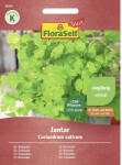 FloraSelf Select Semințe de coriandru Jantar FloraSelf Select (26200)