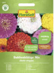 FloraSelf Semințe flori FloraSelf cârciumărese tip Dalii amestec (28570)