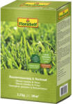 FloraSelf Semințe gazon reînsămânțare FloraSelf 1, 2 kg 50 m2 (448621)