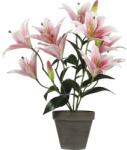 Mica Plantă artificială Crin Tiger MICA H 47 cm roz (1079764)