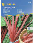 kiepenkerl Semințe legume Kiepenkerl rubarbă Chard (53240)