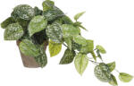 Mica Plantă artificială Scindapsus MICA H 44 cm (1116843)