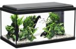 Aquatlantis Acvariu Aquatlantis Advance Led 60x30x34 cm negru (16A09139)
