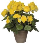 Mica Floare artificială begonie MICA galbenă (977507)