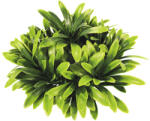 ORBIT Plantă acvariu mică Orbit Nr. 33 (71233)