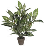 Mica Plantă artificială Dieffenbachia MICA verde (933252)