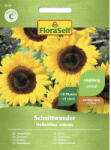 FloraSelf Semințe flori FloraSelf floarea soarelui pentru buchete (28150)