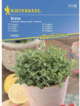 kiepenkerl Semințe de oregano Kreta FloraSelf (54920)